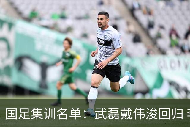 国足集训名单：武磊戴伟浚回归 李昊首次入围