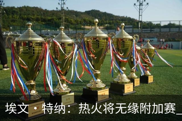 埃文·特纳：热火将无缘附加赛 他们为得到字母哥付出太多了