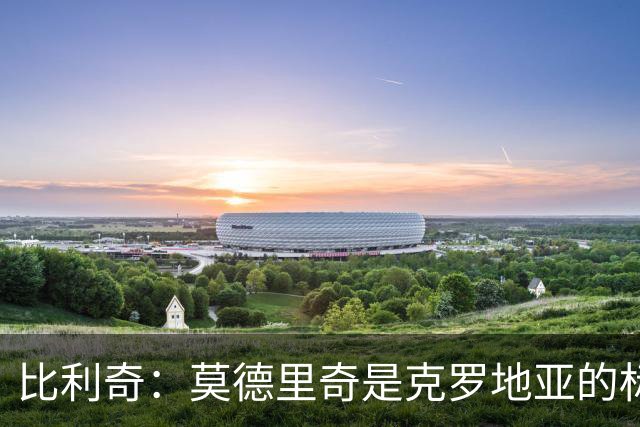 比利奇：莫德里奇是克罗地亚的标杆 泰尔齐奇执教毕巴很合适