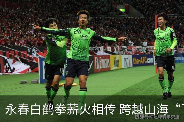 永春白鹤拳薪火相传 跨越山海“飞”向世界