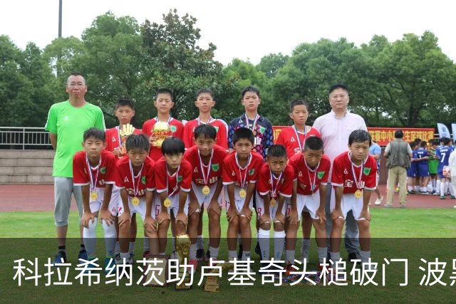 科拉希纳茨助卢基奇头槌破门 波黑半场暂1-0加拿大