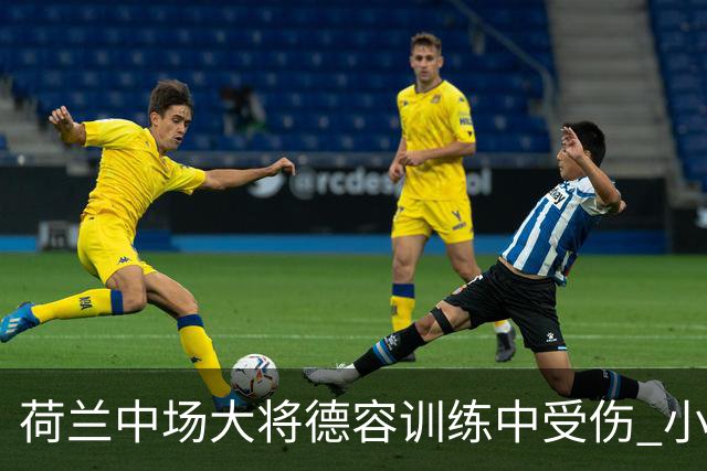 荷兰中场大将德容训练中受伤 小组赛次轮出战成疑