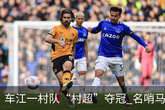 车江一村队“村超”夺冠 名哨马宁现场助阵